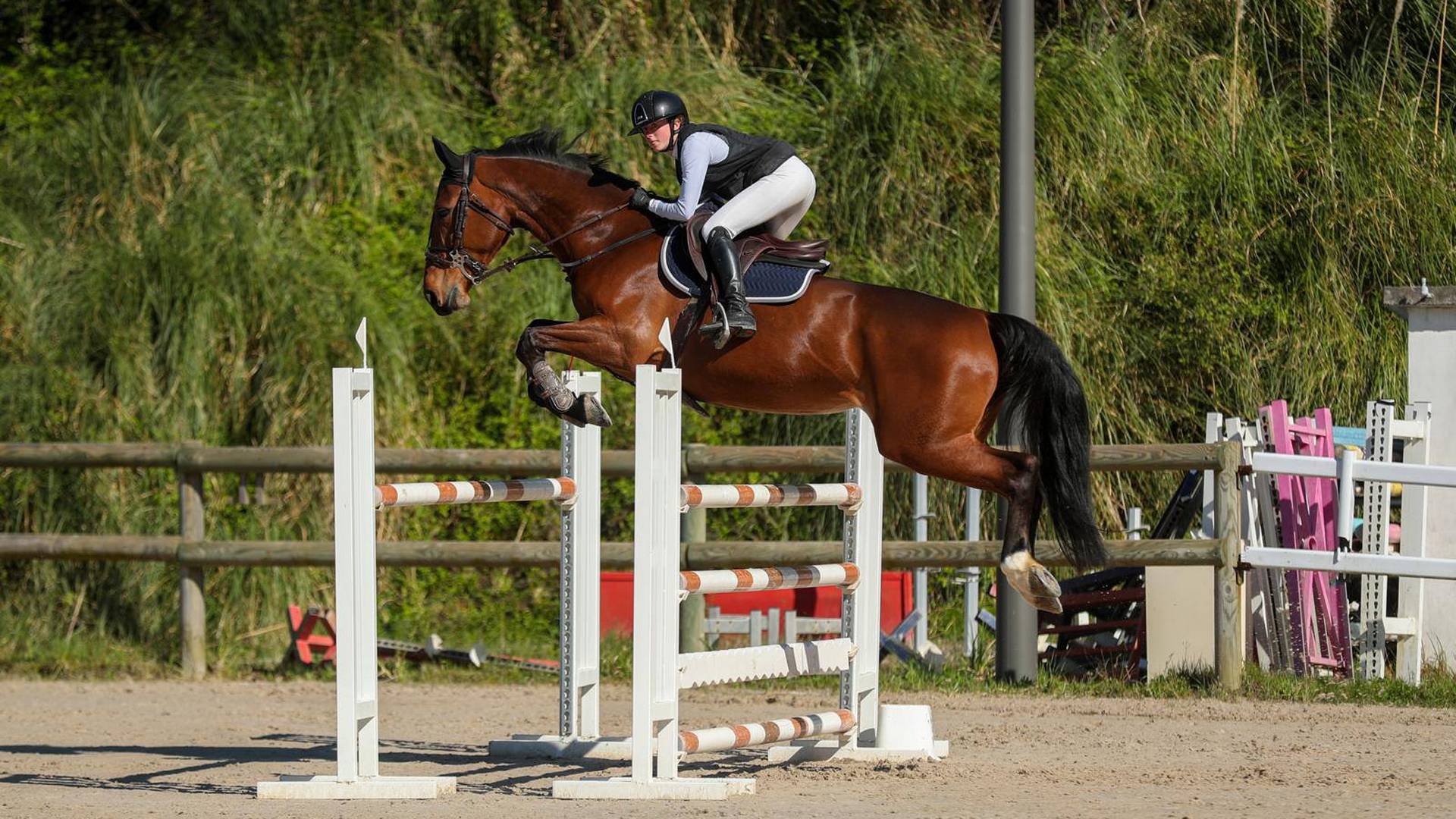 compétitions écuries Sainte Anne à Saint-Gaudens