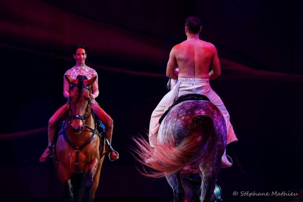 Spectacle équestre samedi 27 juin 2026 avec Horse Show "Marie & Pierre-Antoine Chastang" aux écuries Sainte Anne à Saint-Gaudens