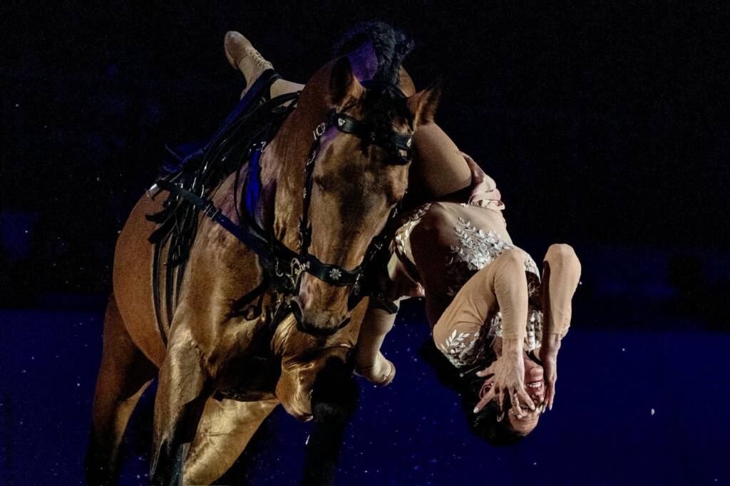 Spectacle équestre samedi 27 juin 2026 avec Horse Show "Marie & Pierre-Antoine Chastang" aux écuries Sainte Anne à Saint-Gaudens