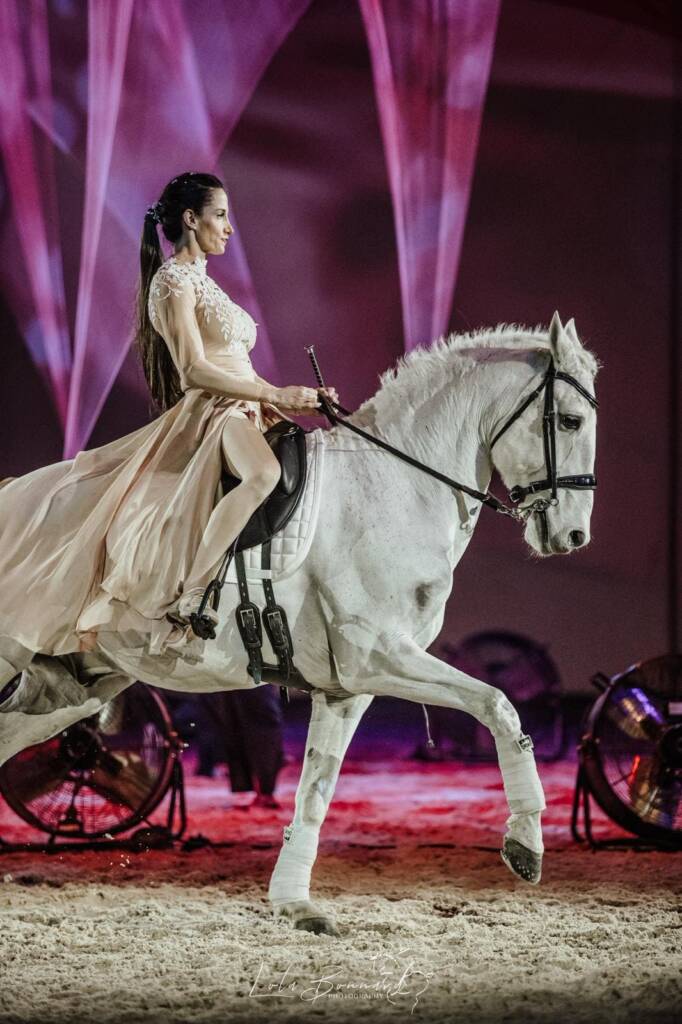 Spectacle équestre samedi 27 juin 2026 avec Horse Show "Marie & Pierre-Antoine Chastang" aux écuries Sainte Anne à Saint-Gaudens