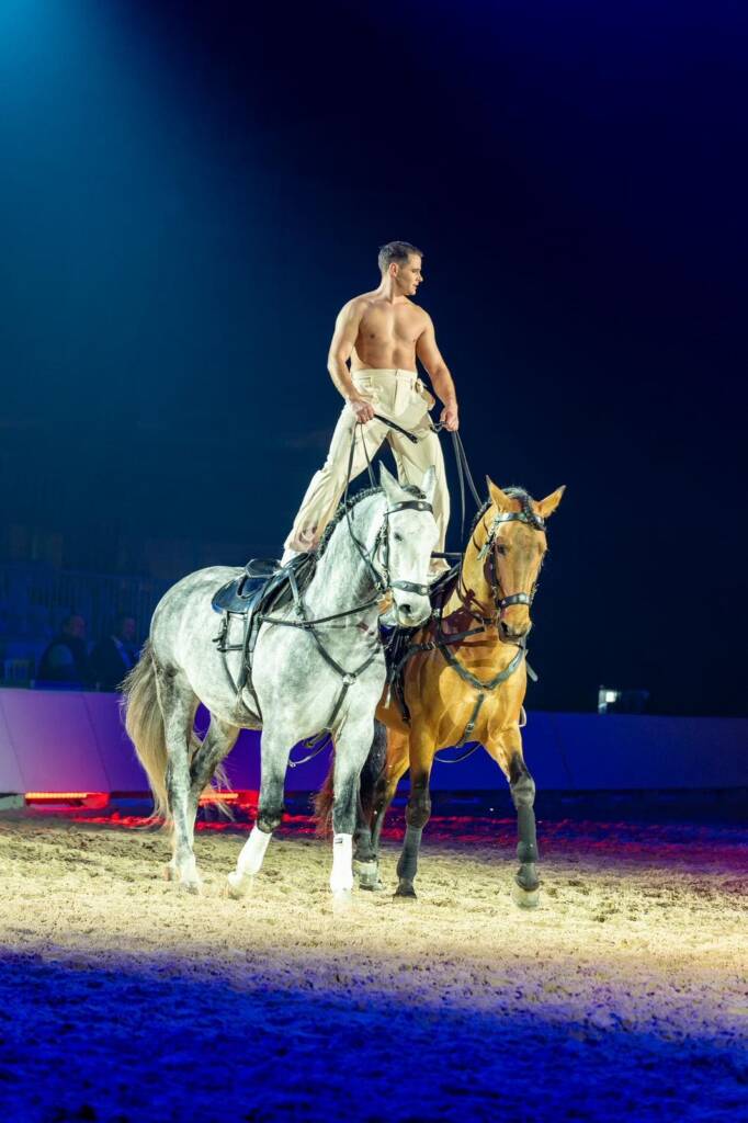 Spectacle équestre samedi 27 juin 2026 avec Horse Show "Marie & Pierre-Antoine Chastang" aux écuries Sainte Anne à Saint-Gaudens