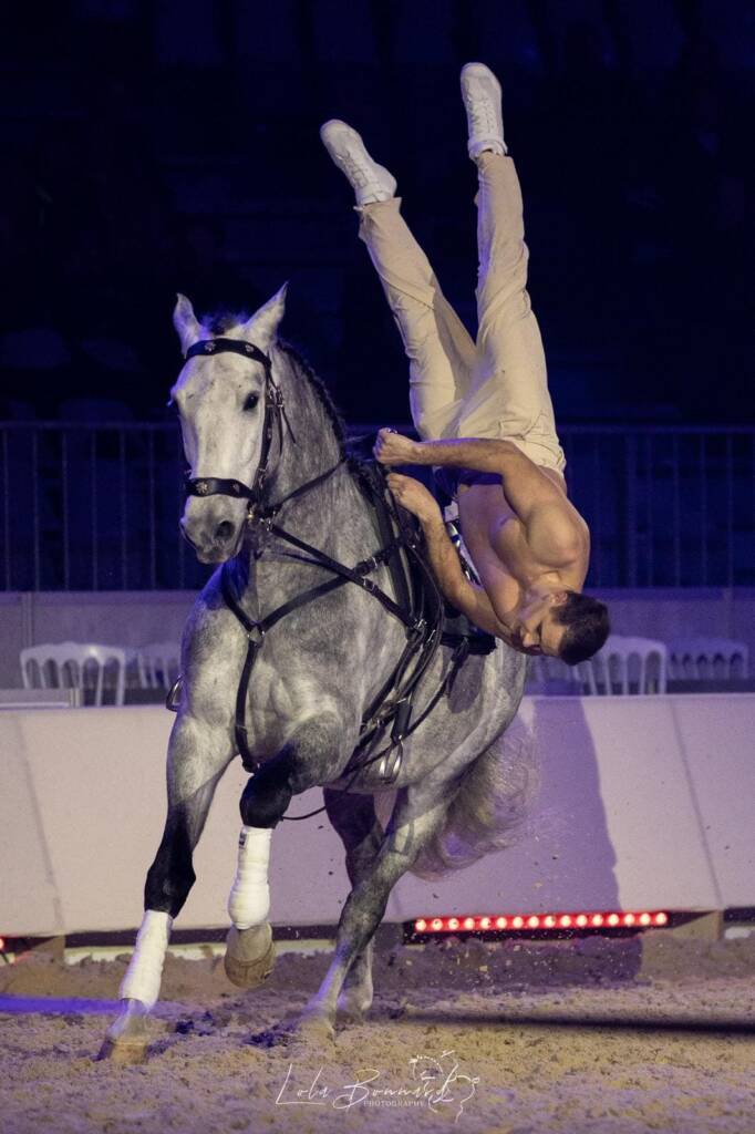 Spectacle équestre samedi 27 juin 2026 avec Horse Show "Marie & Pierre-Antoine Chastang" aux écuries Sainte Anne à Saint-Gaudens