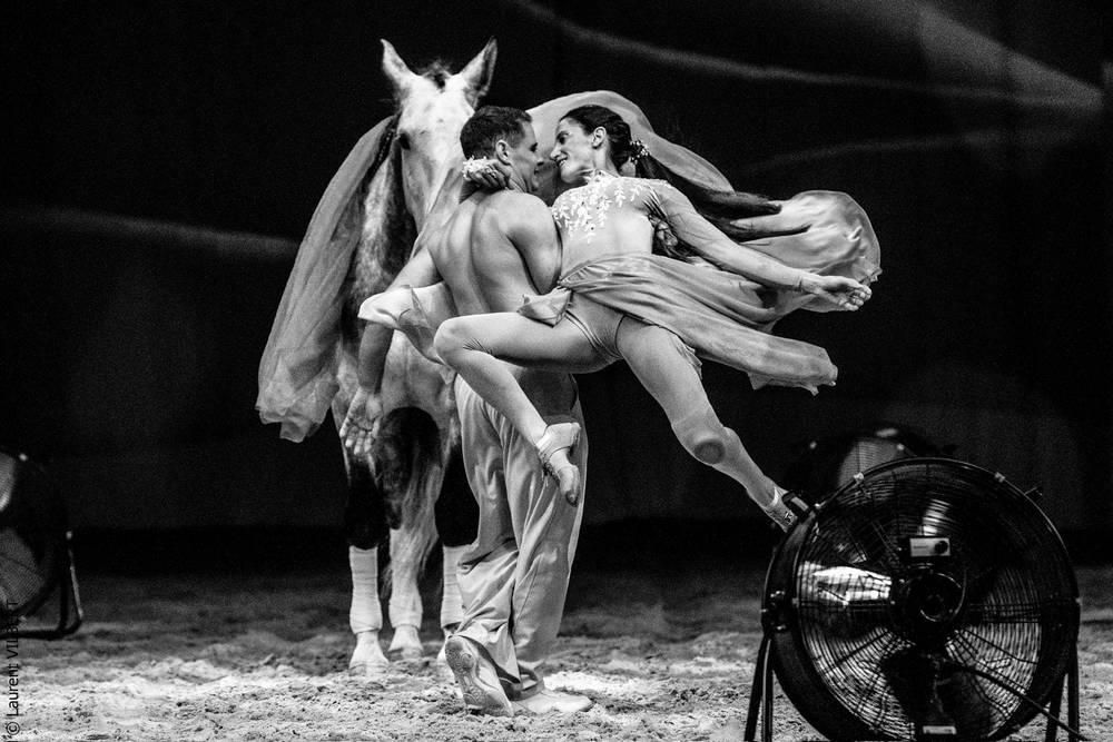 Spectacle équestre samedi 27 juin 2026 avec Horse Show "Marie & Pierre-Antoine Chastang" aux écuries Sainte Anne à Saint-Gaudens