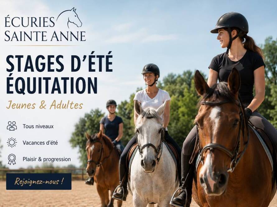 Les inscriptions aux stages d'équitation vacances d'été 2026 sont ouvertes au centre équestre des écuries Sainte Anne