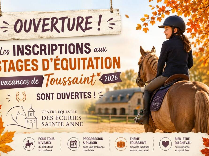 Les inscriptions aux stages d'équitation vacances d'été 2026 sont ouvertes au centre équestre des écuries Sainte Anne
