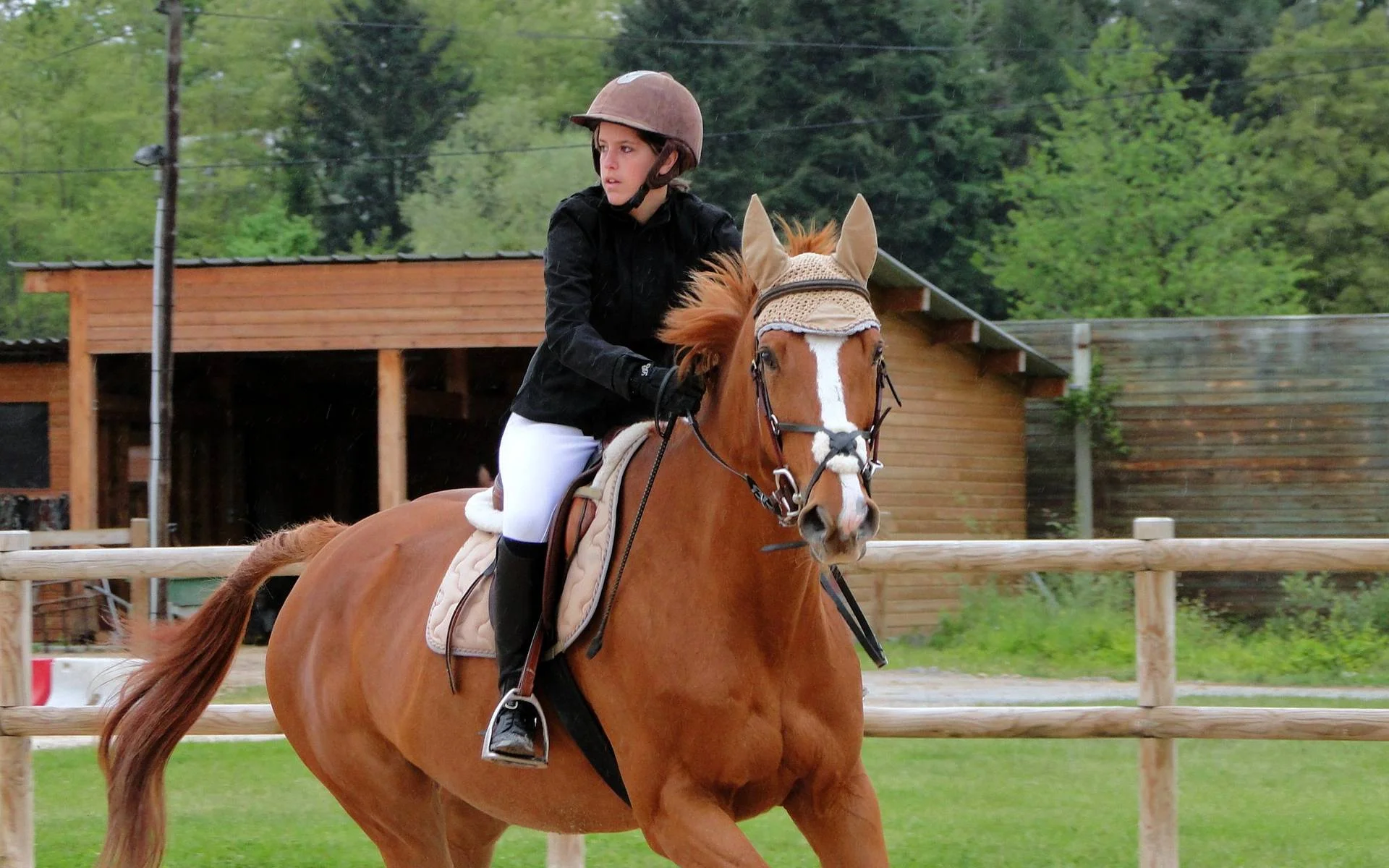 Stage d'équitation écuries saint anne saint-gaudens